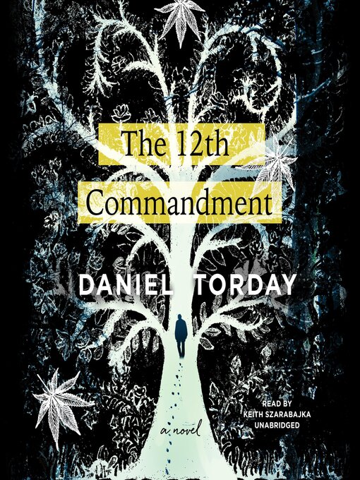 Title details for The 12th Commandment by Daniel Torday - Available
